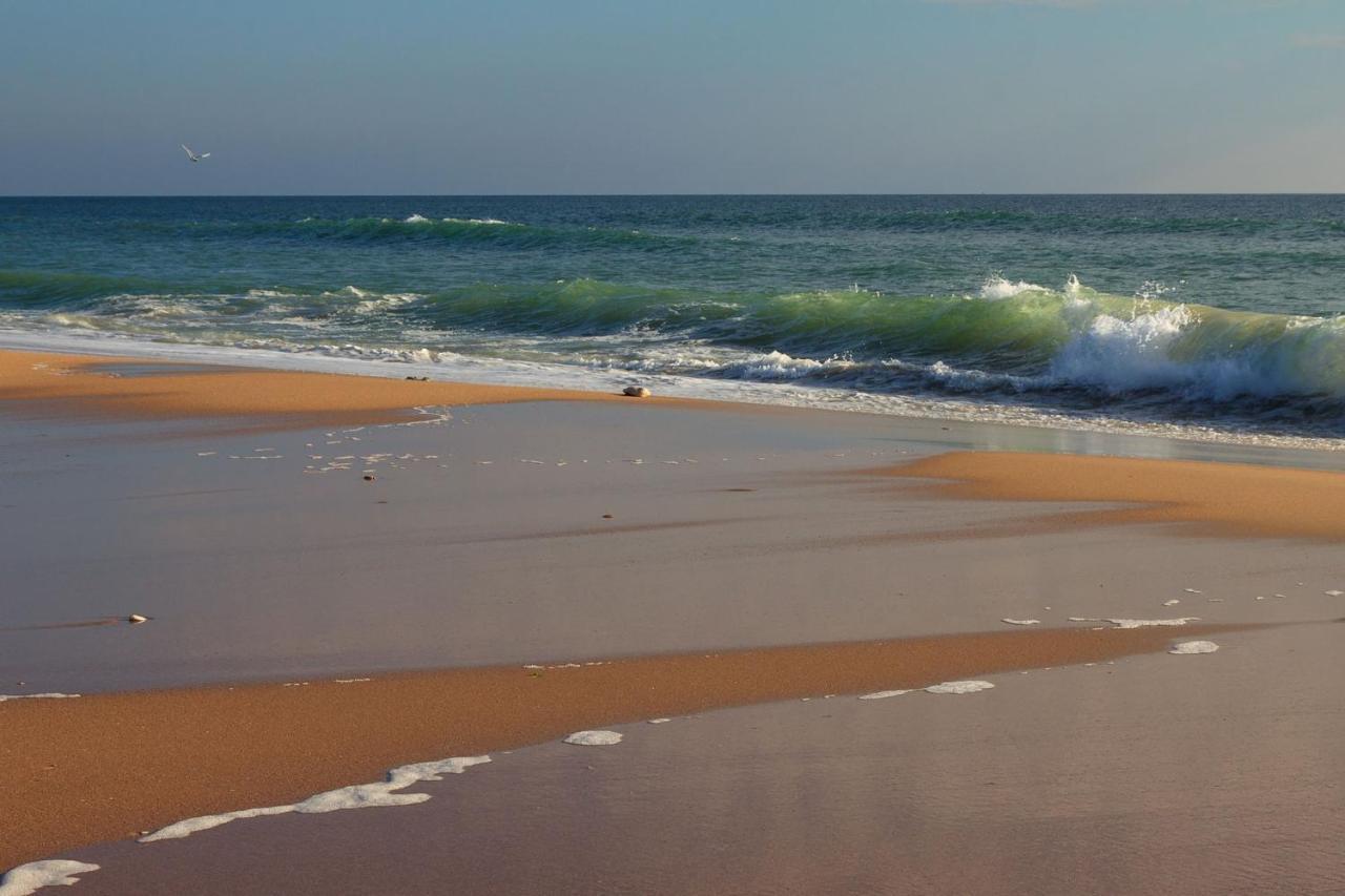 La Rose Allass Grand-Village-Plage Zewnętrze zdjęcie